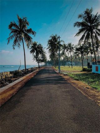Kozhikode Beach, a dreamlike seaside journey.