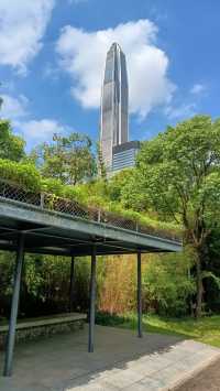 深圳向日葵公園·青綠&清幽。
