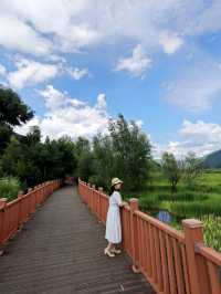 泸沽湖 | 行經婚姻大橋。