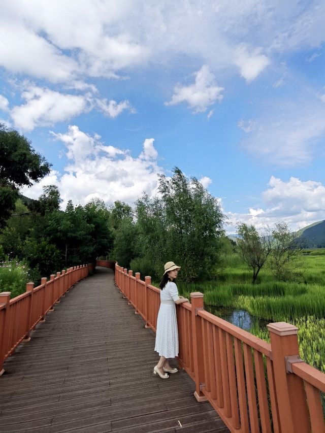 泸沽湖 | 行經婚姻大橋。