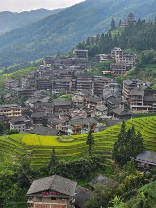 Canyon view
Fujian Lianhe Terraces | Golden Wheat Fields in Terraces.
