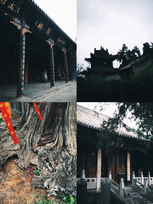 景點推薦打卡：洛陽關林廟。
