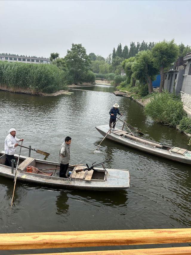 白洋淀風景區、冉莊地道戰遺址及紀念館旅遊攻略。