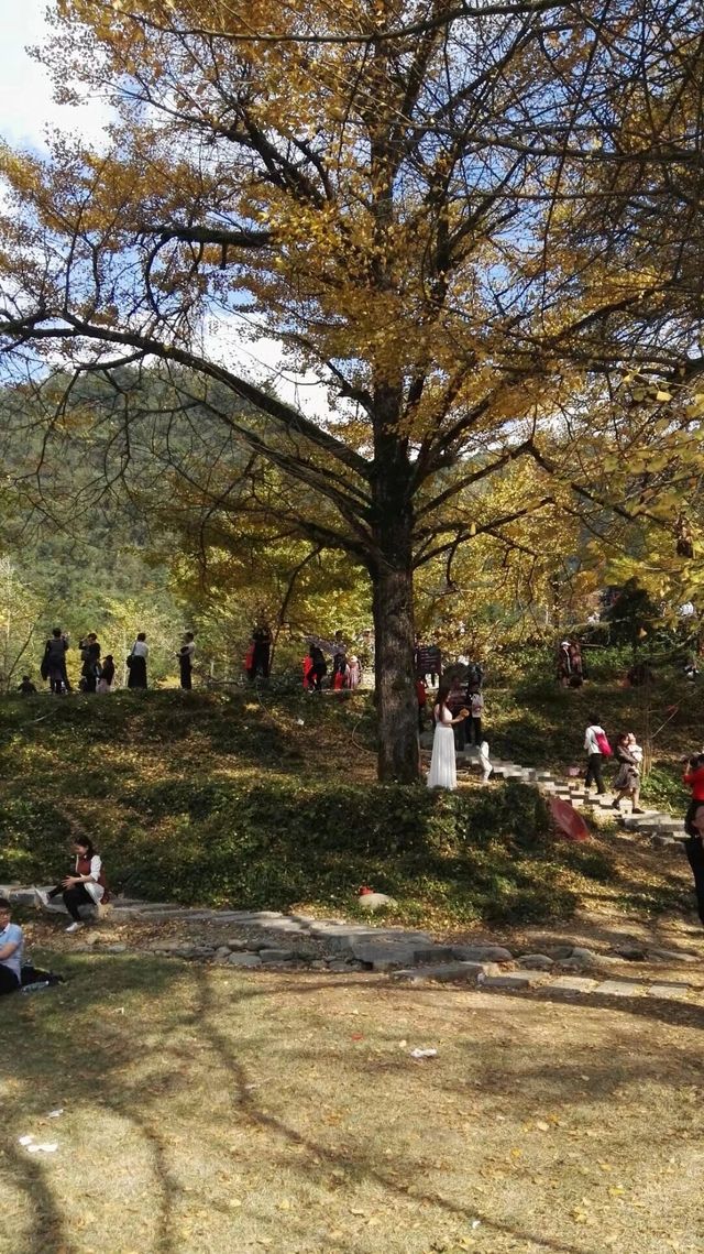 永州桐子坳景區、岑天河水庫、盤王殿之旅。