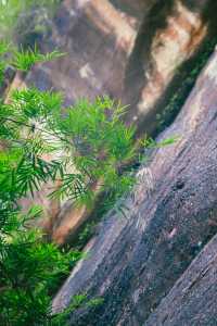 禪意丹霞山——朝行錦岩