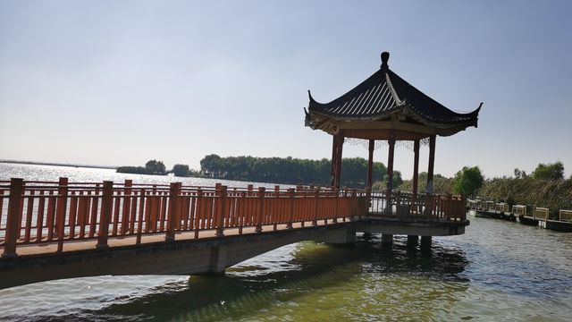 焦崗湖小記。