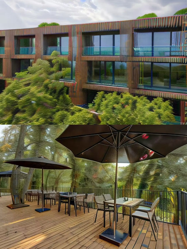 烏瑪尼海灘酒店 | 夢幻海濱度假之旅。