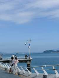 深圳海山地鐵站，見山見海。