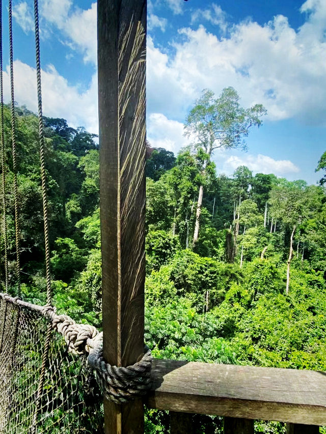 庫馬西｜加納的寶藏之城旅遊全解。