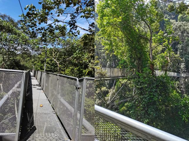 小伙伴們，快來圍觀我的居林旅遊攻略啦！