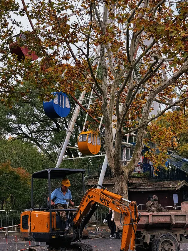 城市攝影|公園裡的倒數。
