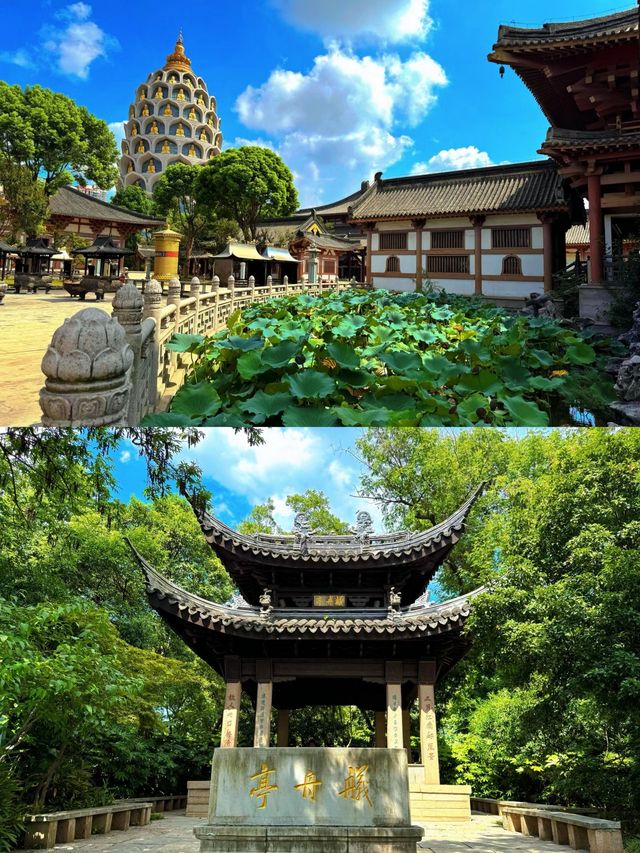 常州「金菠蘿」——寶林禪寺。 常州「金菠蘿」——寶林禪寺。