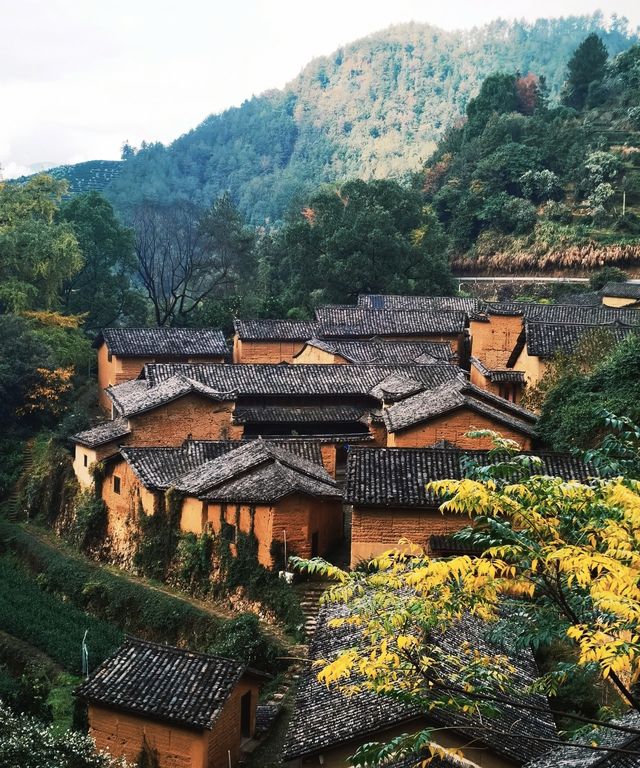 為止，我最喜歡的古村出現了還有村裡人白太熱情。