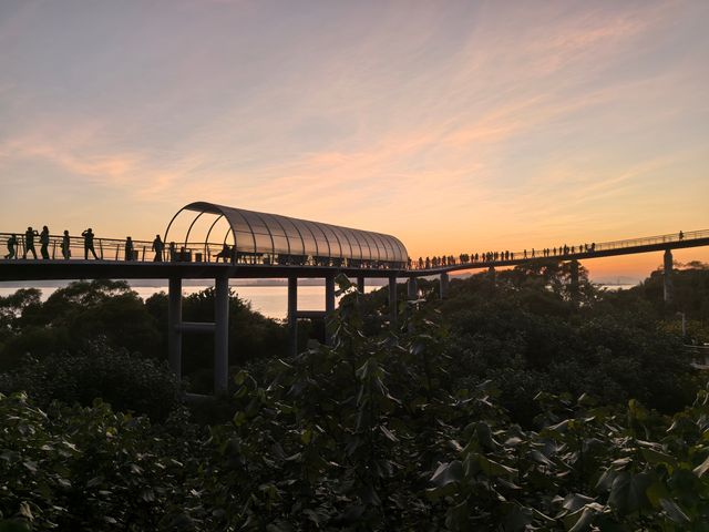 東山水庫到盼歸塔徒步。