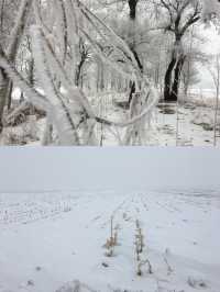 寒冬裡的雪景奇緣——走進霧凇島尋找白色童話！