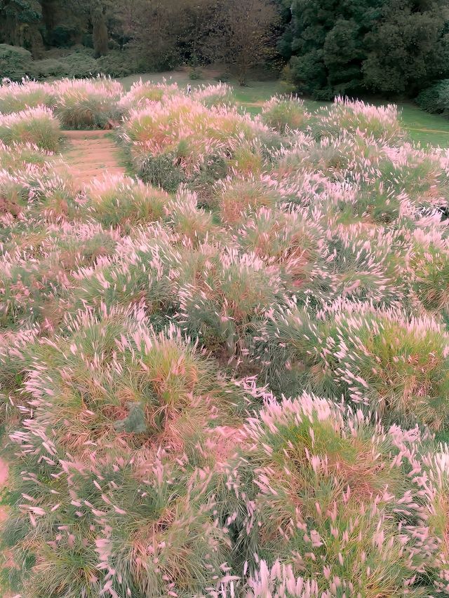 去貴陽！來十里河灘旅遊吧