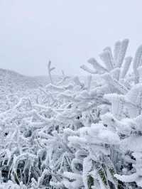 廣東周邊也能欣賞的雪景聖地