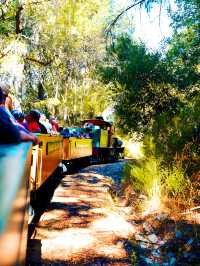 坐上蒸汽火車穿越紅杉樹林