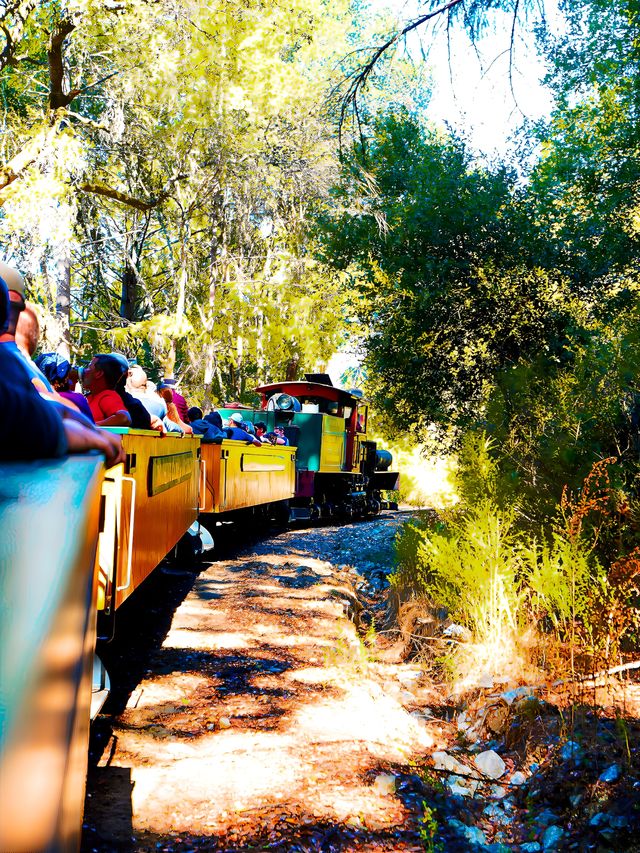 坐上蒸汽火車穿越紅杉樹林 坐上蒸汽火車穿越紅杉樹林