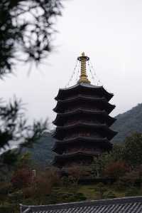 雲門寺的葉子終於紅了！