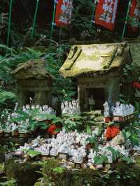 6日探秘日本 溫泉之旅不重樣