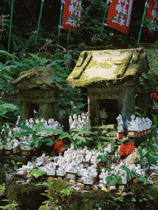 6日探秘日本 溫泉之旅不重樣