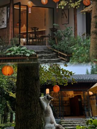 Hidden Gem Homestays Around Chengdu | Shifang Shili Songjian Tangchi Homestay