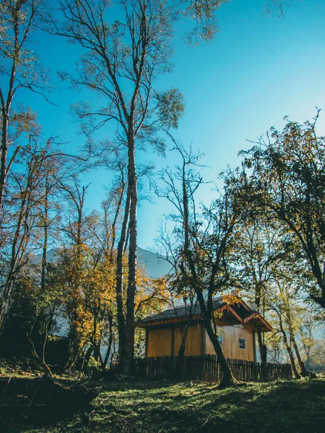 2-Day Ya'an Itinerary for a Reunion with Old Friends