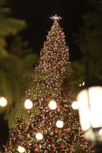 The Grove is a must-visit Christmas market in LA