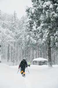 徒步林海雪原我又發現了一個日本秘境