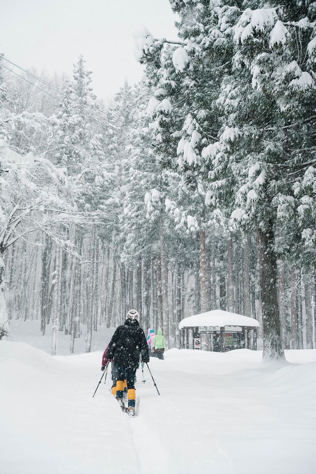 徒步林海雪原我又發現了一個日本秘境