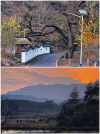 安徽寧國｜一個被嚴重低估的小眾旅行寶藏地