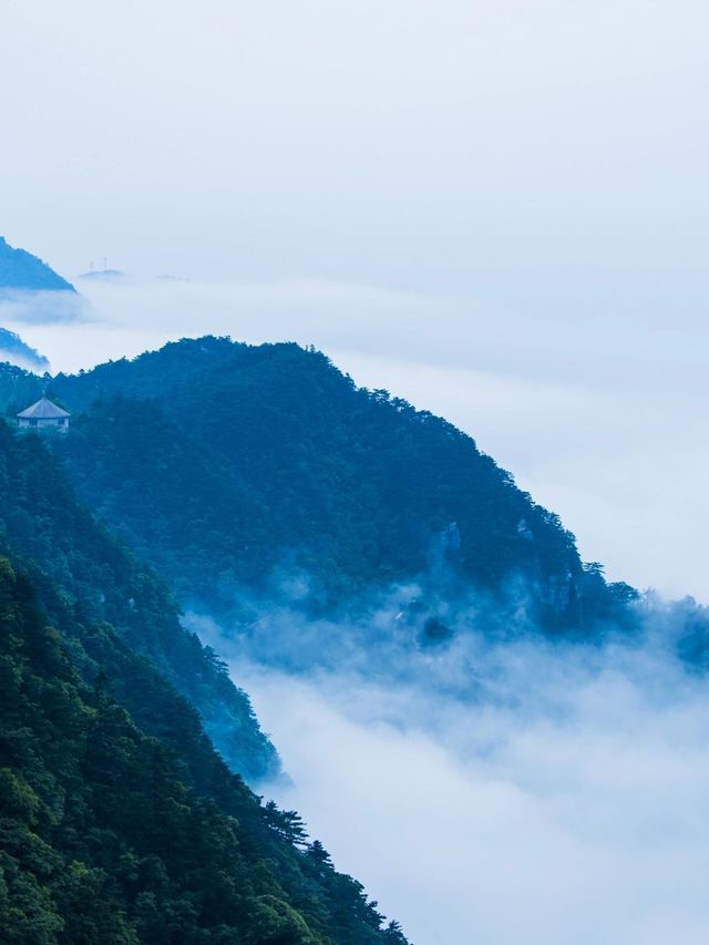 江西南昌-廬山-婺源5日遊 超詳細攻略 速來碼住