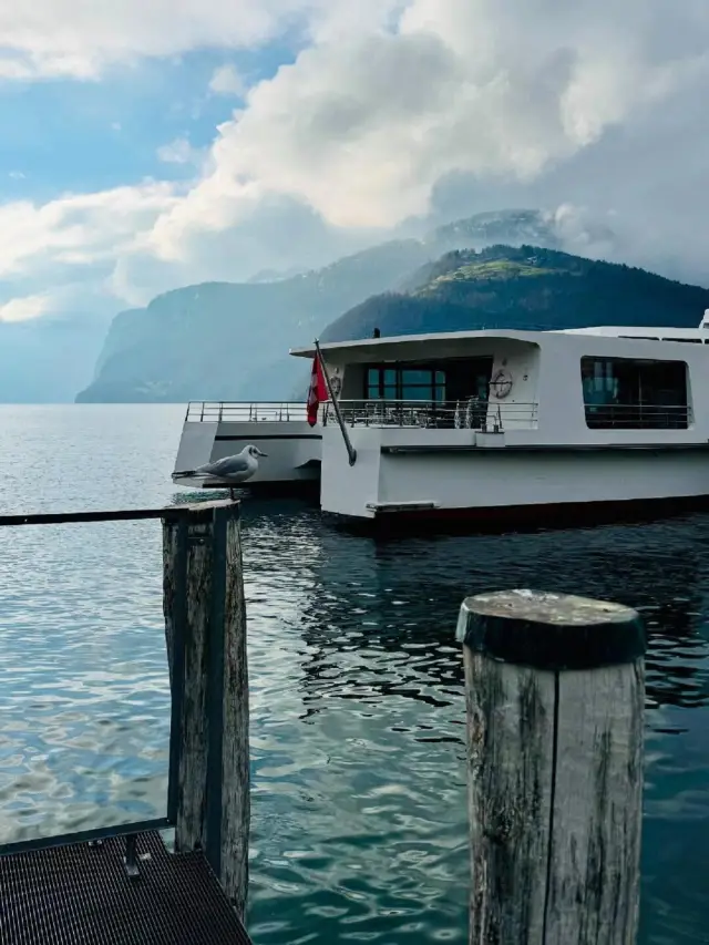 7-Day Italy Highlights: A Feast of History and Art