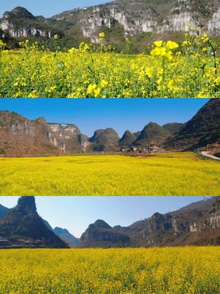 "建議收藏小眾新年度假攻略出爐