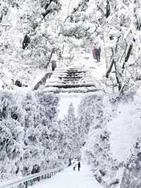高鐵2h直達最適合廣東人的賞雪聖地
