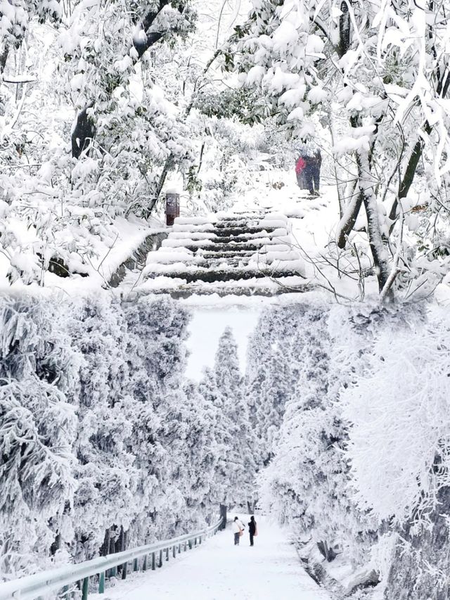 高鐵2h直達最適合廣東人的賞雪聖地