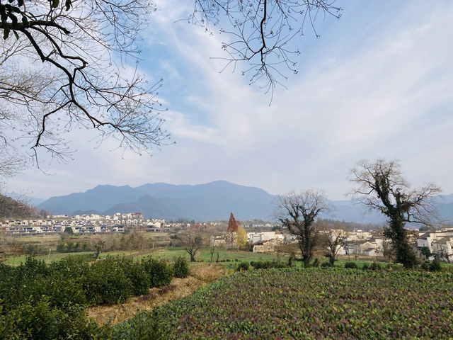 盧村遊之盧村觀景平台