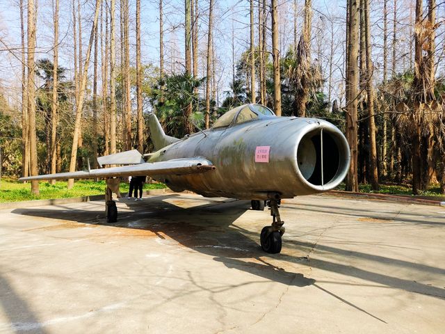 置身於綠色的海洋~~東平國家森林公園
