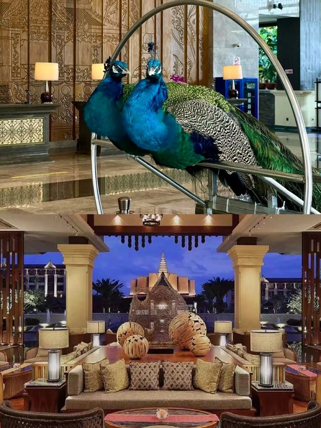 在景洪想無限續住的酒店，很治癒