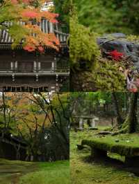 在小松那谷寺，邂逅一場治癒的日光禪境