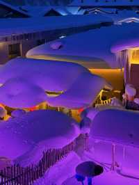 雪鄉，你可太適合當天往返一日遊了！