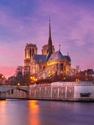Lunar New Year in Europe: A Super Useful Guide