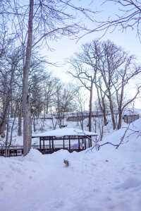 誤入童話世界北海道羊蹄山下的名水公園