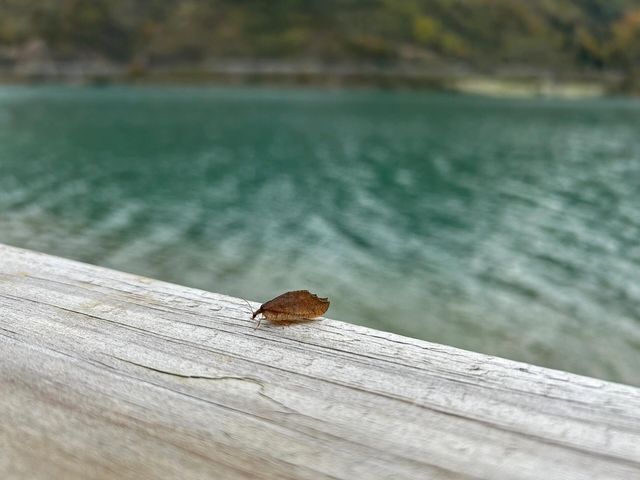 平武八挫加古寨