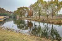 綠色濕地青西郊野公園