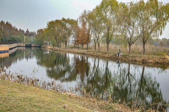 綠色濕地青西郊野公園