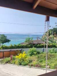 平價民宿追美瑞莎鯨魚