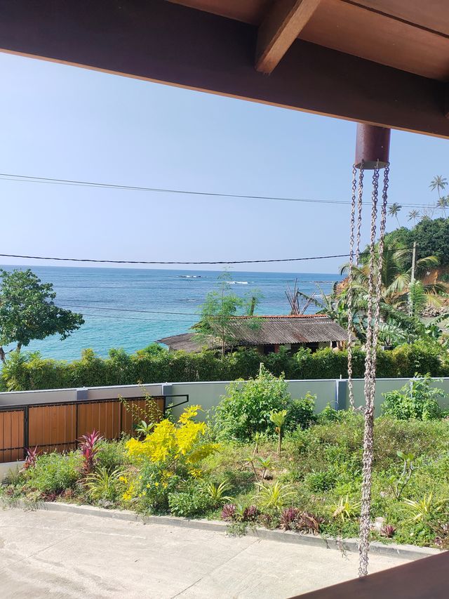 平價民宿追美瑞莎鯨魚