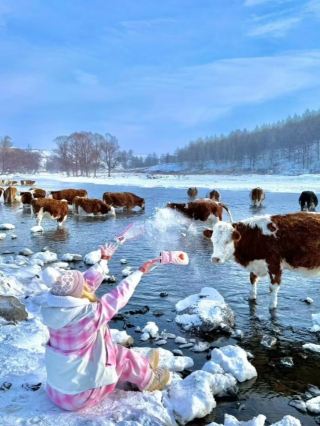 I thought Harbin was beautiful enough! Until I went to...